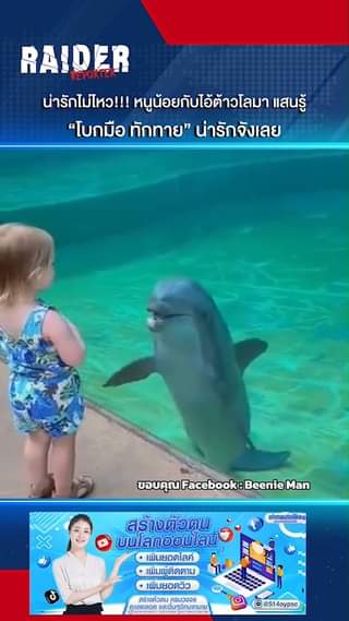 น่ารักไม่ไหว!!! หนูน้อยกับไอ้ต้าวโลมา แสนรู้ “โบกมือ ทักทาย” น่ารักจังเลย #หนูน้... 4 Raider-Reporter.com ข่าวไรเดอร์รีพอร์ตเตอร์ เกาะติดข่าวล่าสุด ทุกเหตุการณ์ ข่าวสังคมการเมือง ข่าวอาชญากรรม ข่าวด่วนวันนี้ Raider-Reporter.com ข่าวไรเดอร์รีพอร์ตเตอร์ เกาะติดข่าวล่าสุด ทุกเหตุการณ์ ข่าวสังคมการเมือง ข่าวอาชญากรรม ข่าวด่วนวันนี้