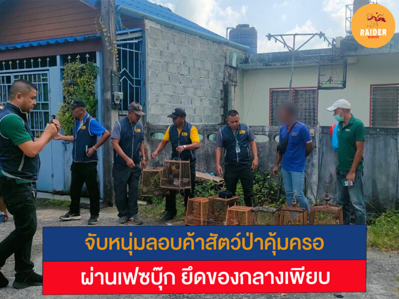 จับหนุ่มลอบค้าสัตว์ป่าคุ้มครองผ่านเฟซบุ๊ก ยึดของกลางเพียบ 174 Raider-Reporter.com ข่าวไรเดอร์รีพอร์ตเตอร์ เกาะติดข่าวล่าสุด ทุกเหตุการณ์ ข่าวสังคมการเมือง ข่าวอาชญากรรม ข่าวด่วนวันนี้ Raider-Reporter.com ข่าวไรเดอร์รีพอร์ตเตอร์ เกาะติดข่าวล่าสุด ทุกเหตุการณ์ ข่าวสังคมการเมือง ข่าวอาชญากรรม ข่าวด่วนวันนี้